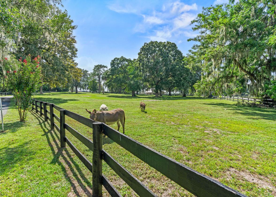 10+ Acres with Spacious Home and Apartment - photo 30