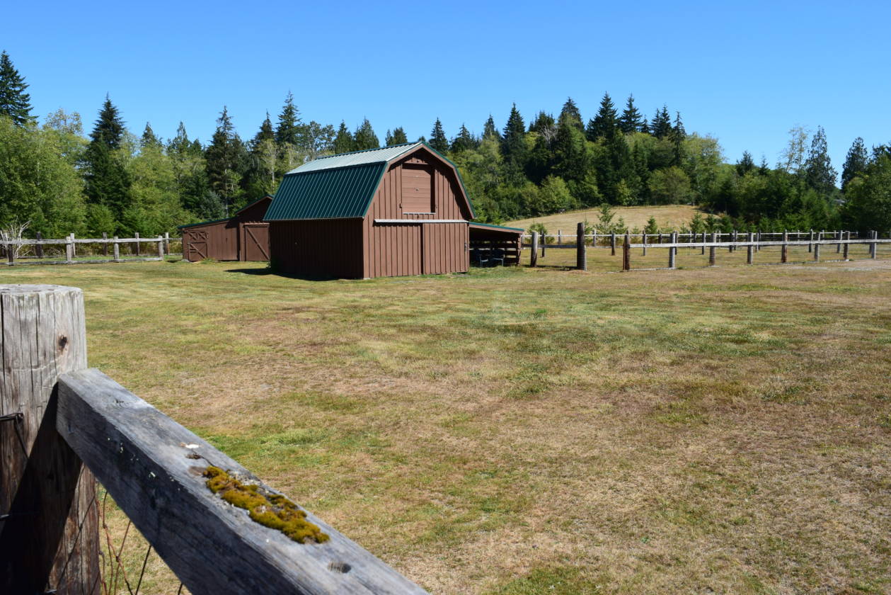 Wishkah Vally 5 acre Hobby Farm with 2 barns... Aberdeen, Grays