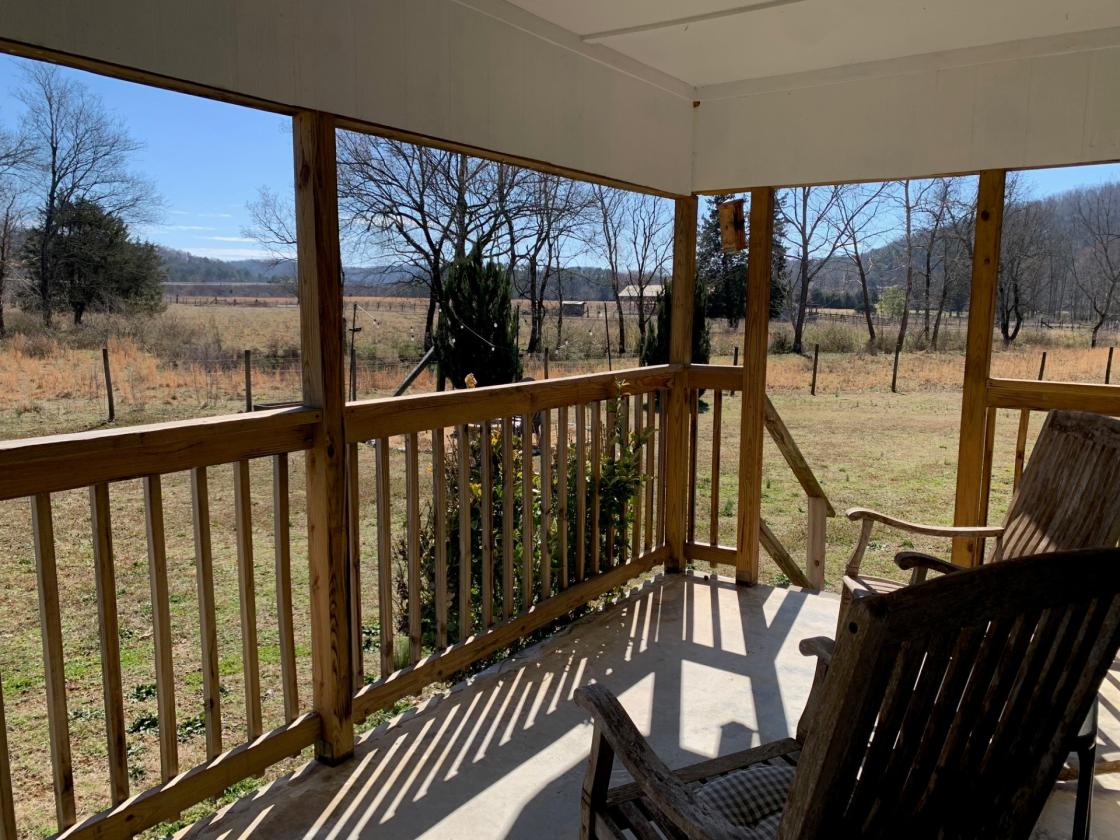 54 Acre Farm with 2 Houses - photo 21