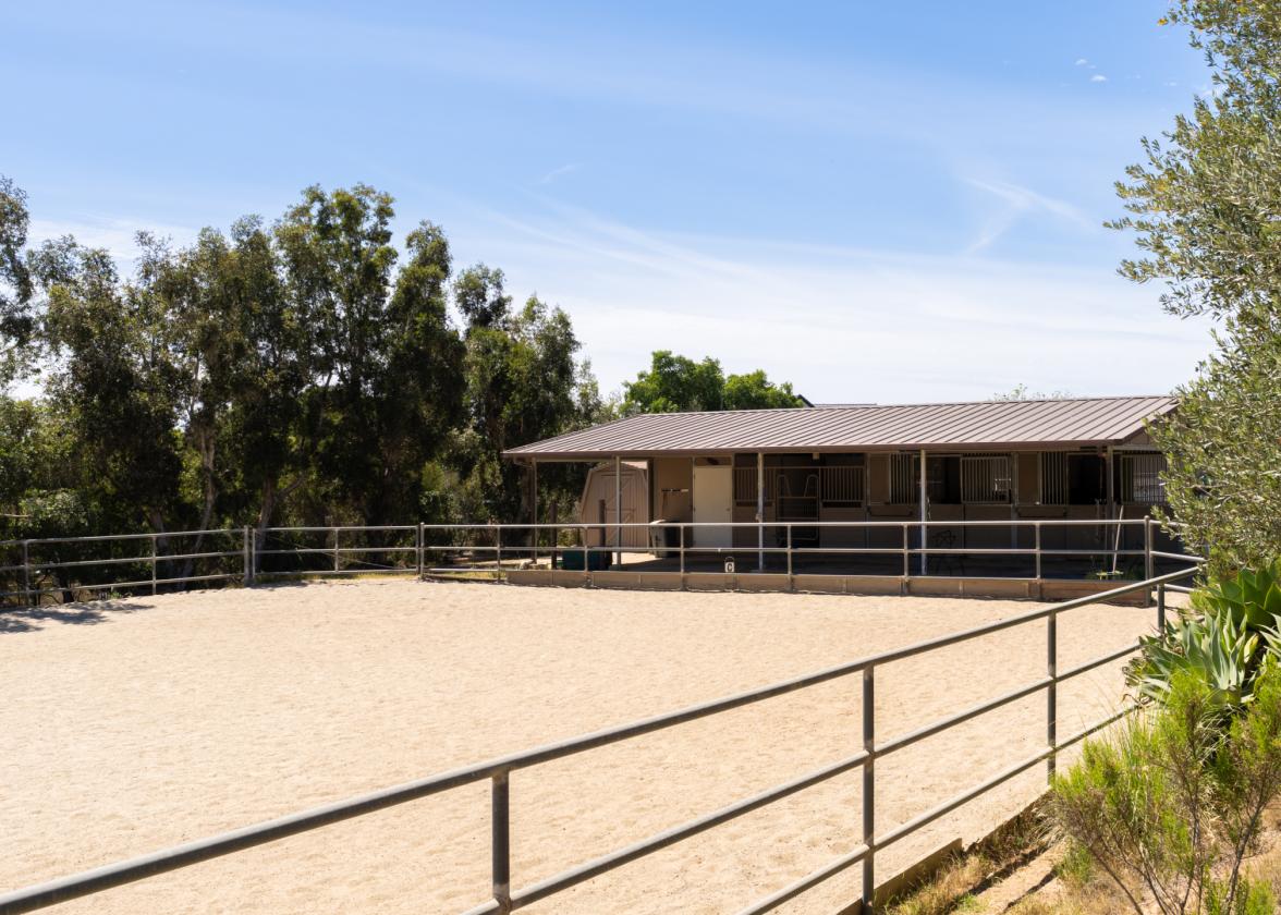 Rancho Santa Fe Lifestyle. County Freedom. No HOA. - photo 6