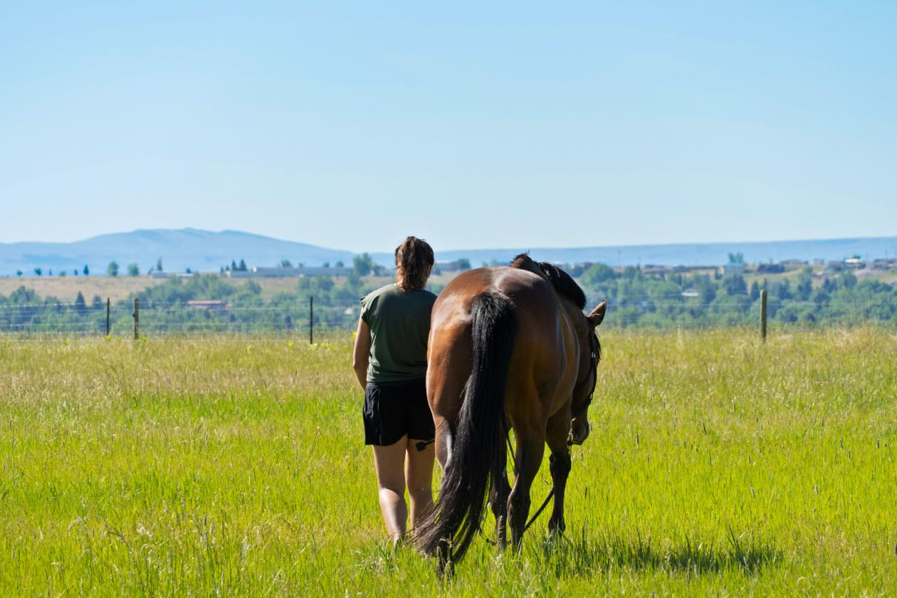 Exceptional horse property with beautiful views - photo 22