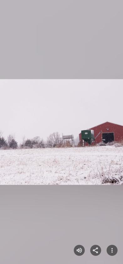 Investment opportunity/Equestrian Facility - photo 8