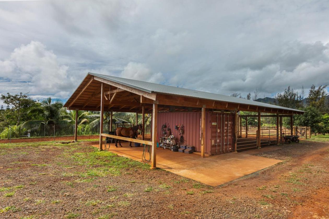 Agricultural & Equestrian Haven in Kauai - photo 4