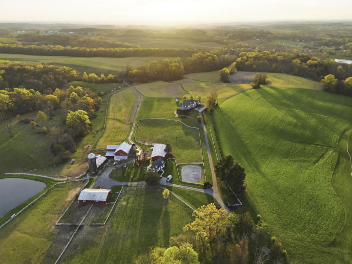 World-Class 115-Acre Luxury Farm Estate - photo 24