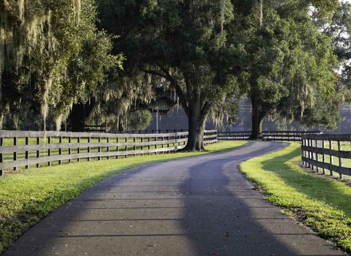 Kingwood Foxden - 4 miles to World Equestrian Center - photo 15