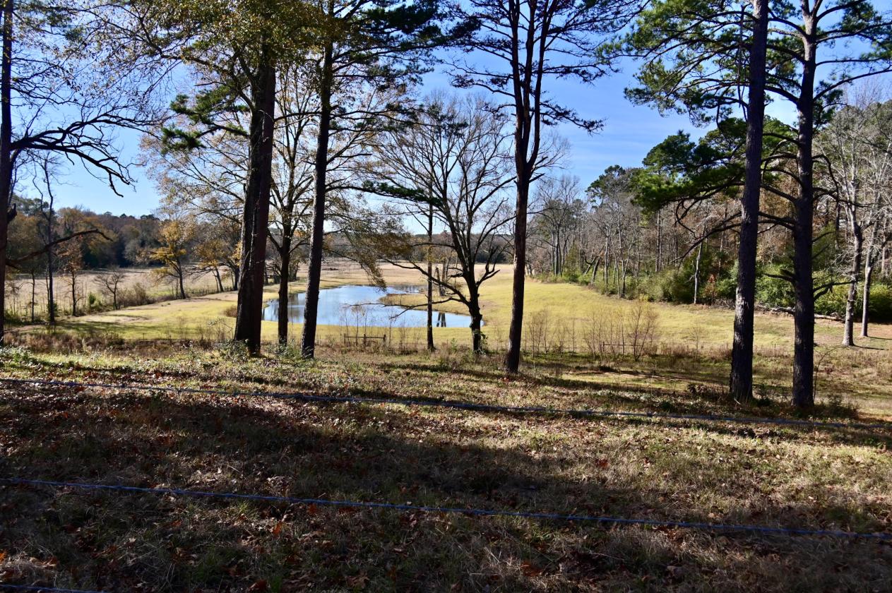 Exceptional 52-Acre Working Cattle Ranch - photo 23