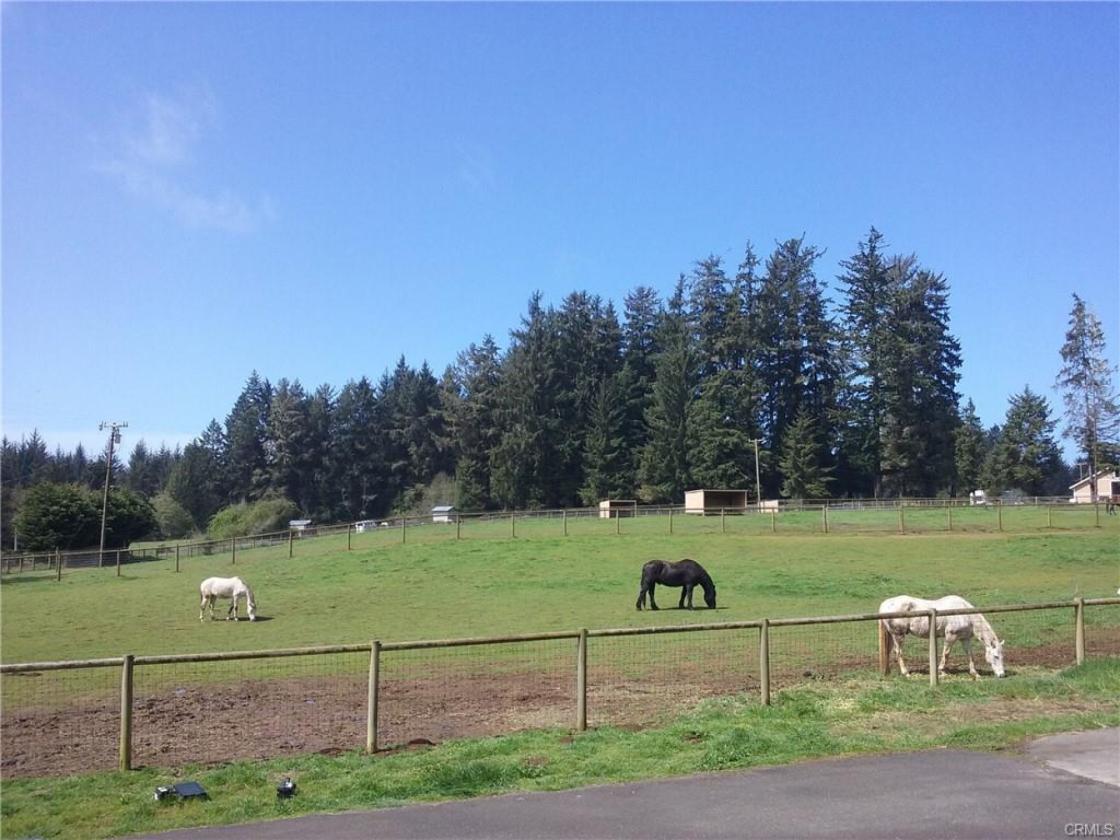 California Redwood Coast Income Horse Property - photo 16