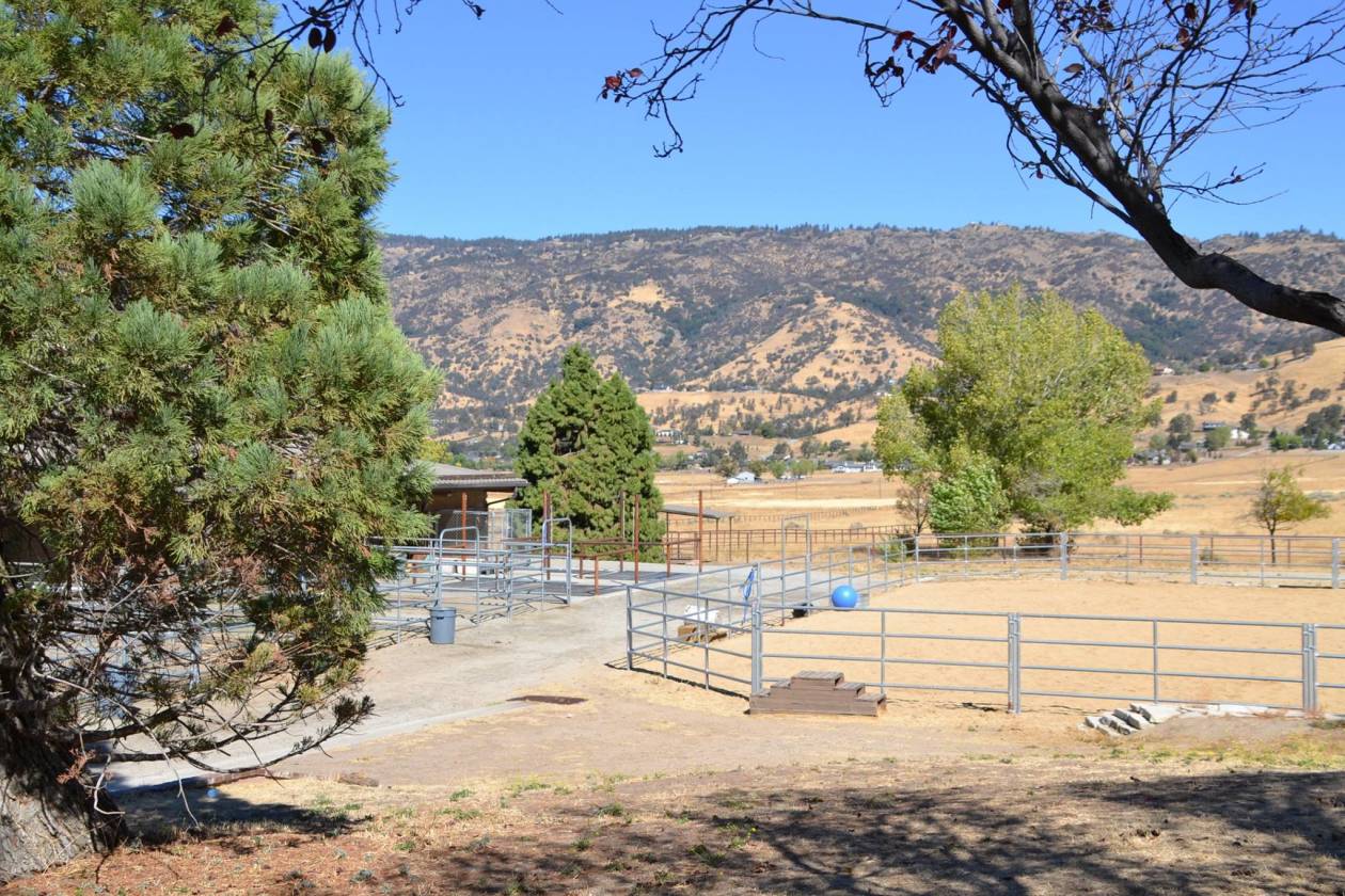 The Ultimate Horse Facility in Exclusive Bear Valley Springs, CA Bear