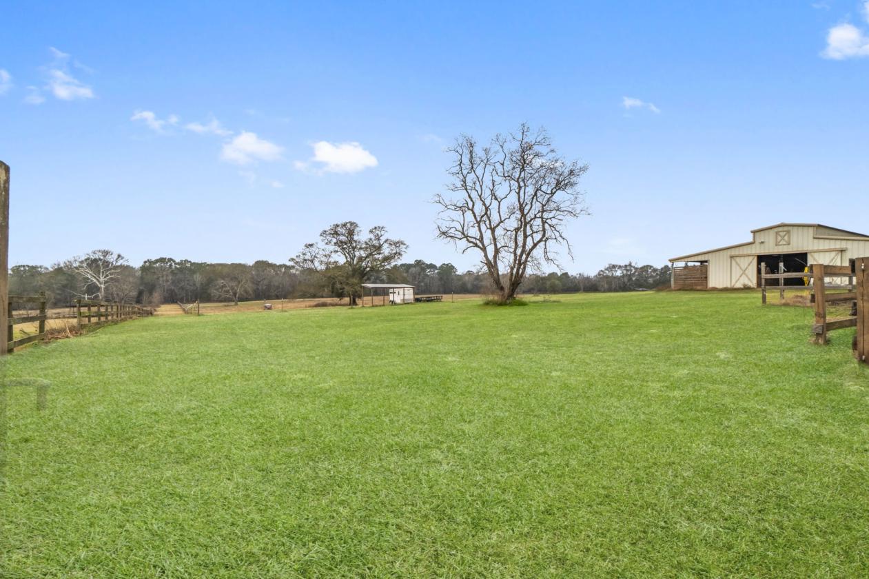 Great Horse Farm or Investment - photo 7