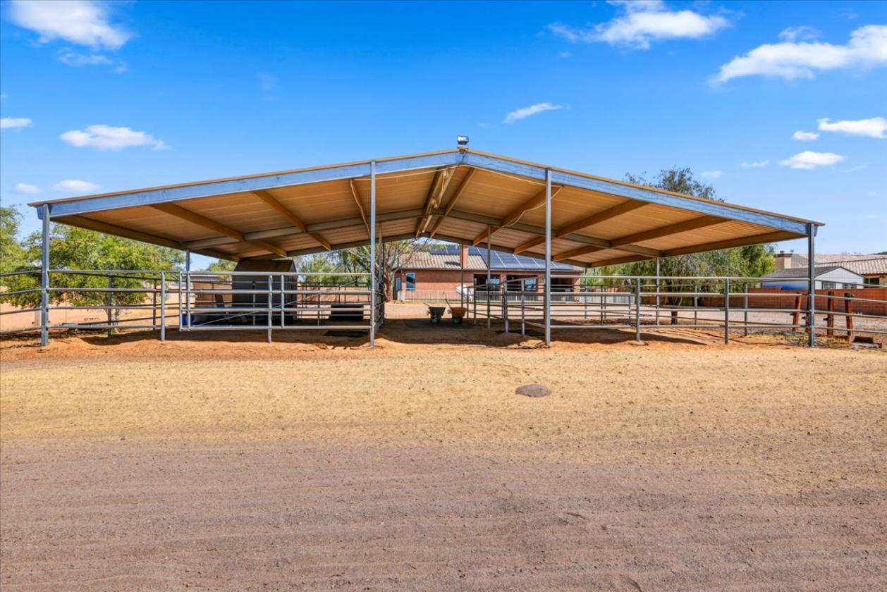 Desert Hills Horse Property on Over an Acre! - photo 26