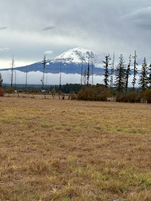 Horse Property for sale.