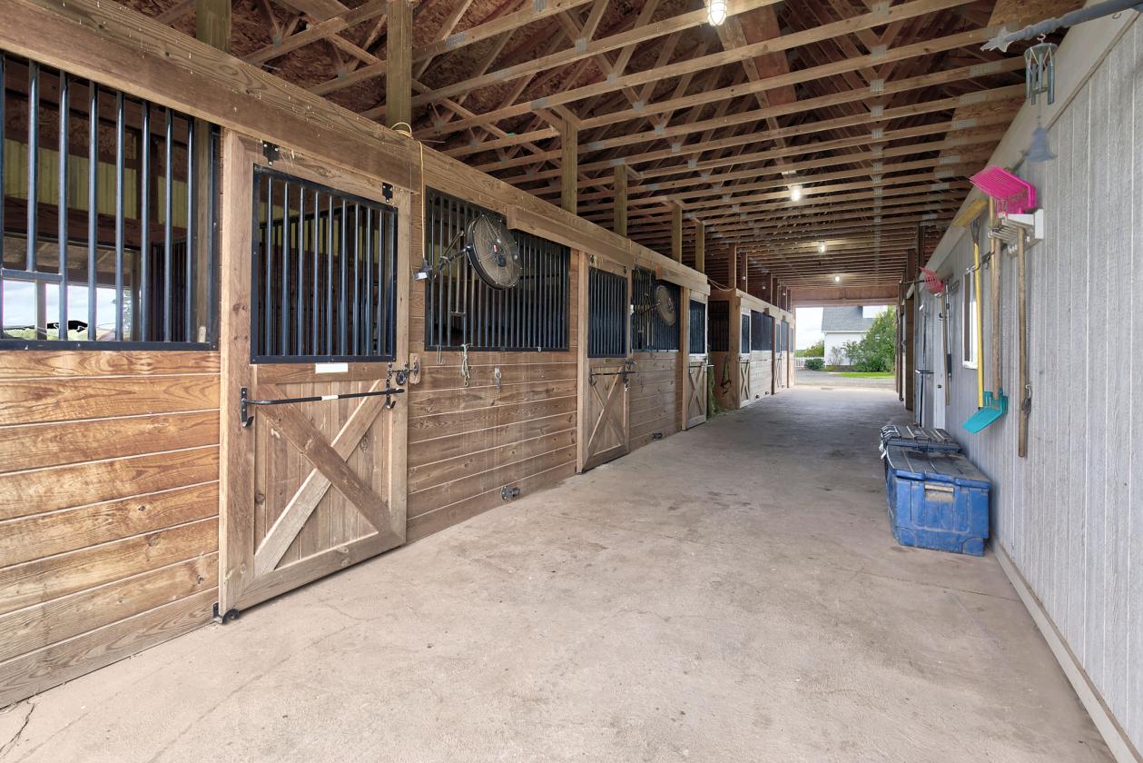 Beautiful Horse Farm in Amwell Valley - photo 13