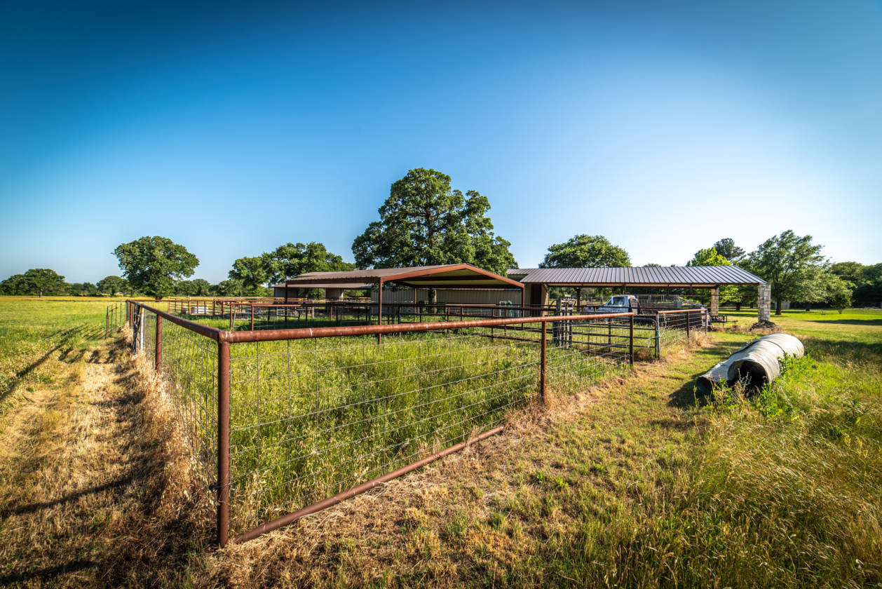 AUSTIN STONE HOME W/ ROPING ARENA, BARN, HEATED POOL AND... | Gustine ...