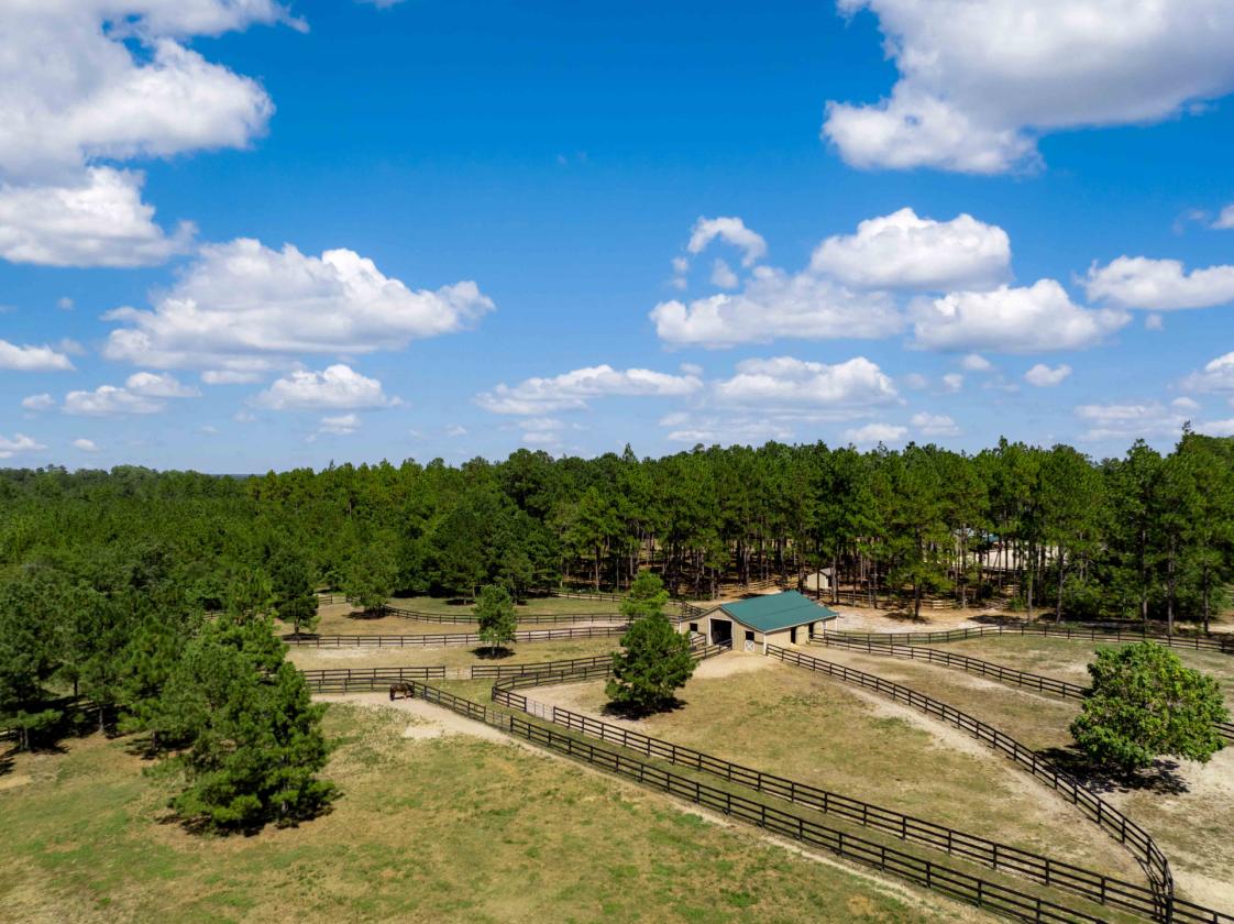 40 Acre Turn Key Dressage Facility with Log Home - photo 5