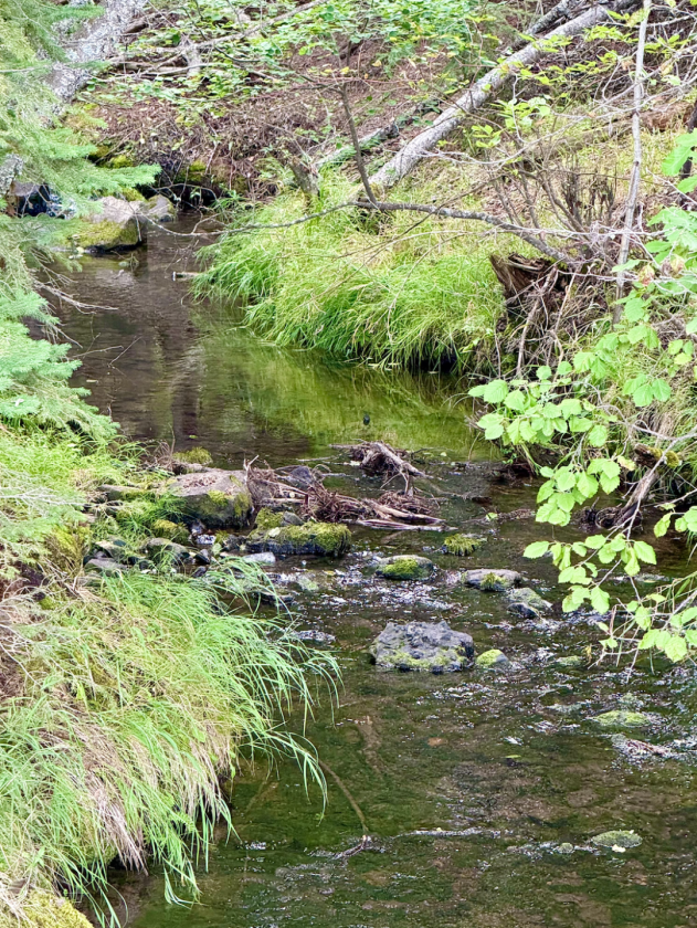 Truman Creek Living - photo 13