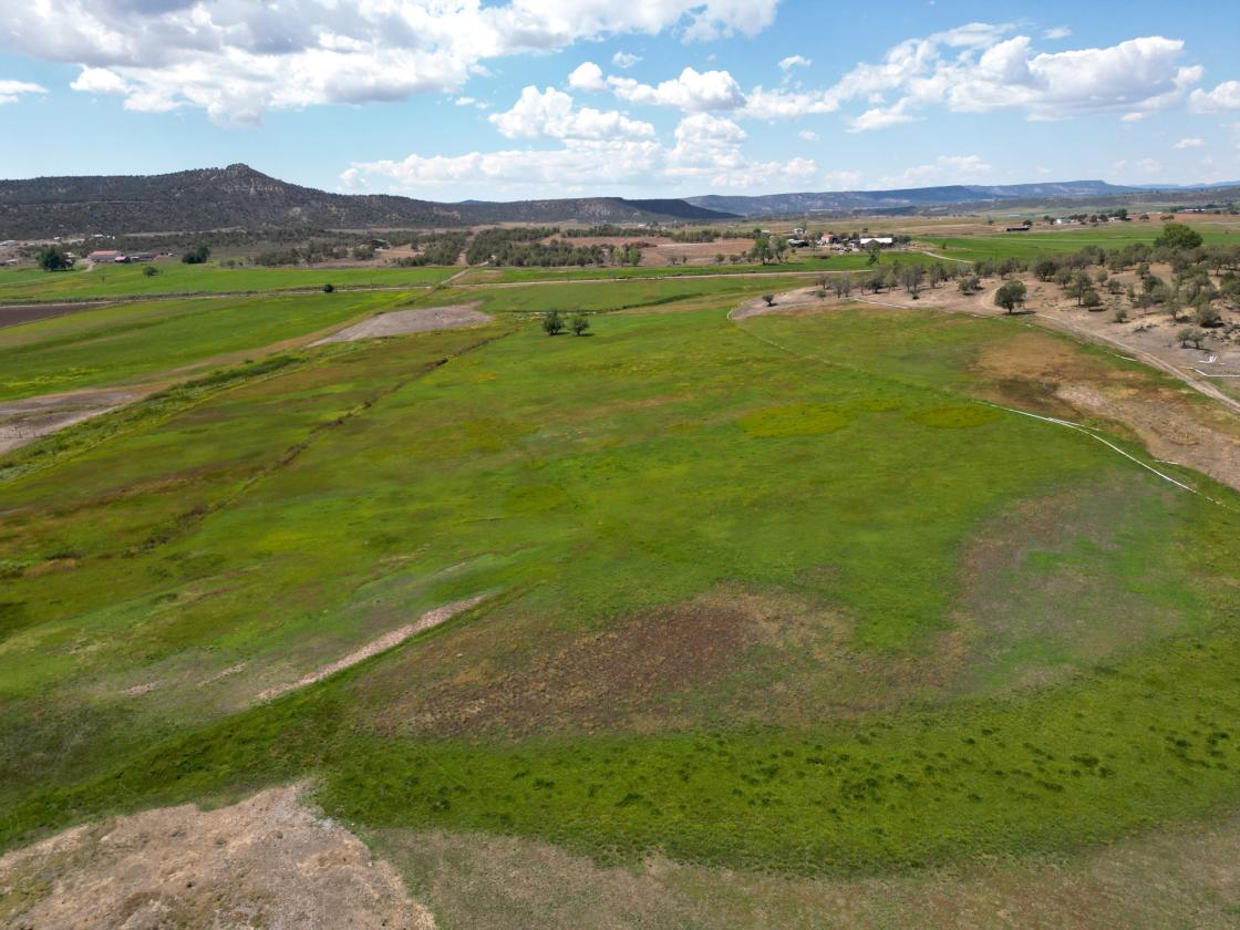 Picturesque 80-acre ranch! - photo 4