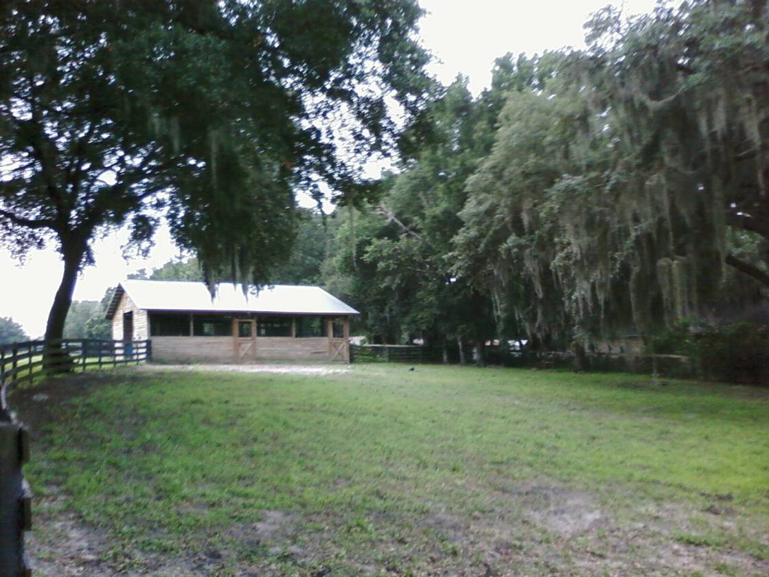 Horse Farm for Sale | Summerfield, Marion County, Florida