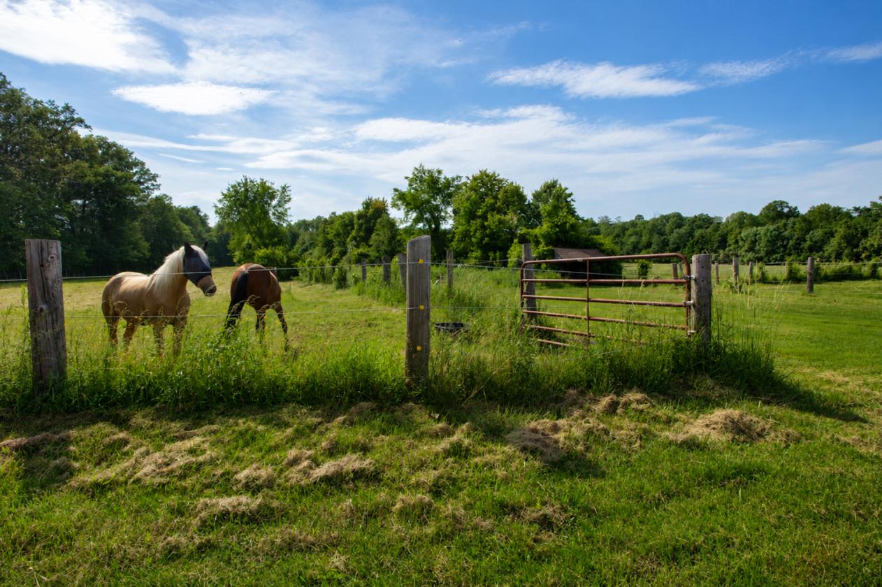 Turnkey Horse Farm on 59 Acres - photo 19