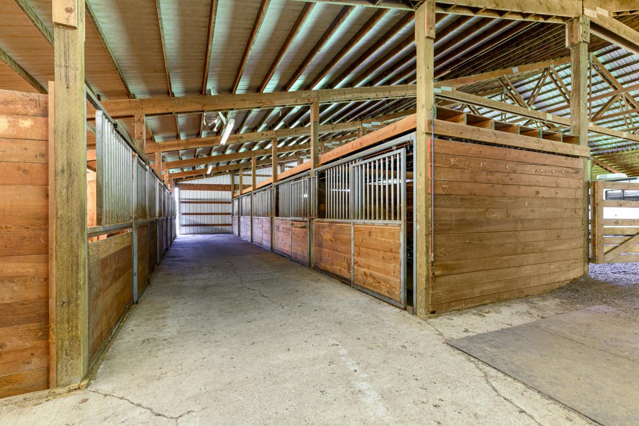 Amazing Farmhouse/Equestrian Property - photo 9