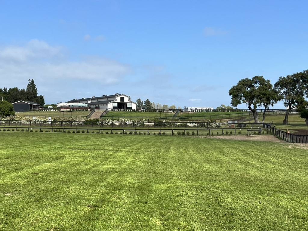 Horse Property for sale.