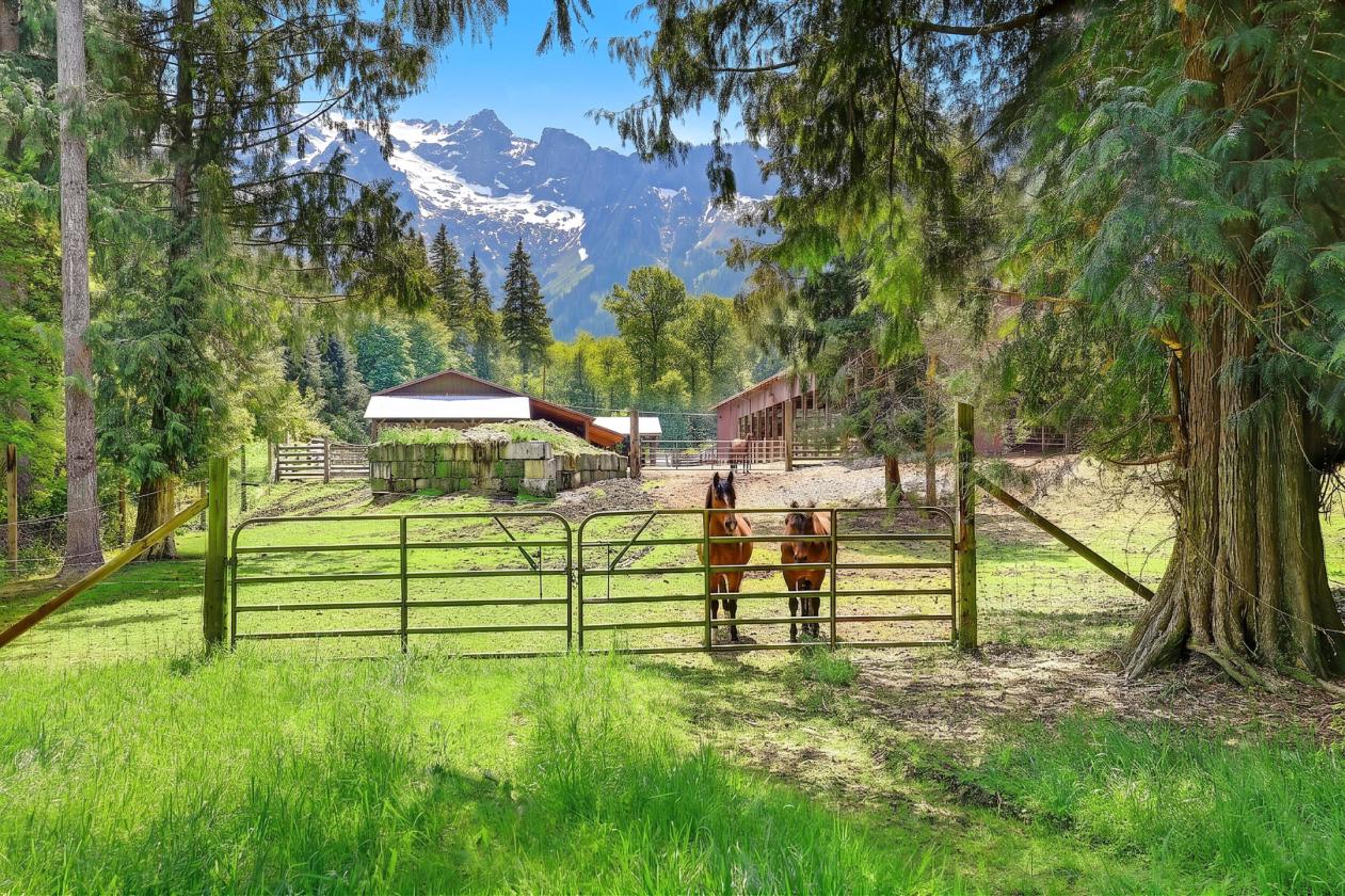 Whitehorse Area Farm - 7.61 acres + Arena - photo 21