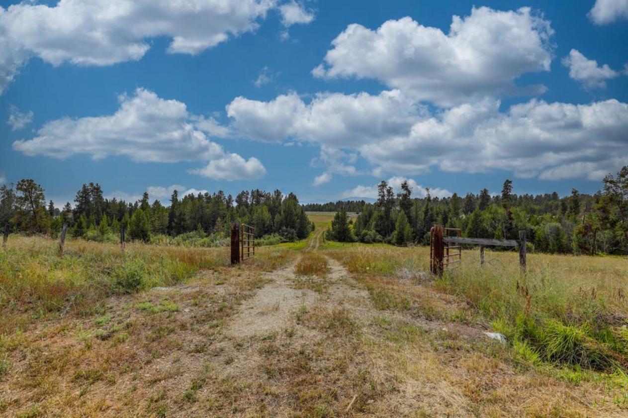 Spectacular Horse Property with HUGE barn - photo 29