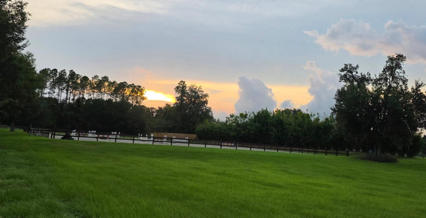 Exceptional gated equestrian estate - photo 17