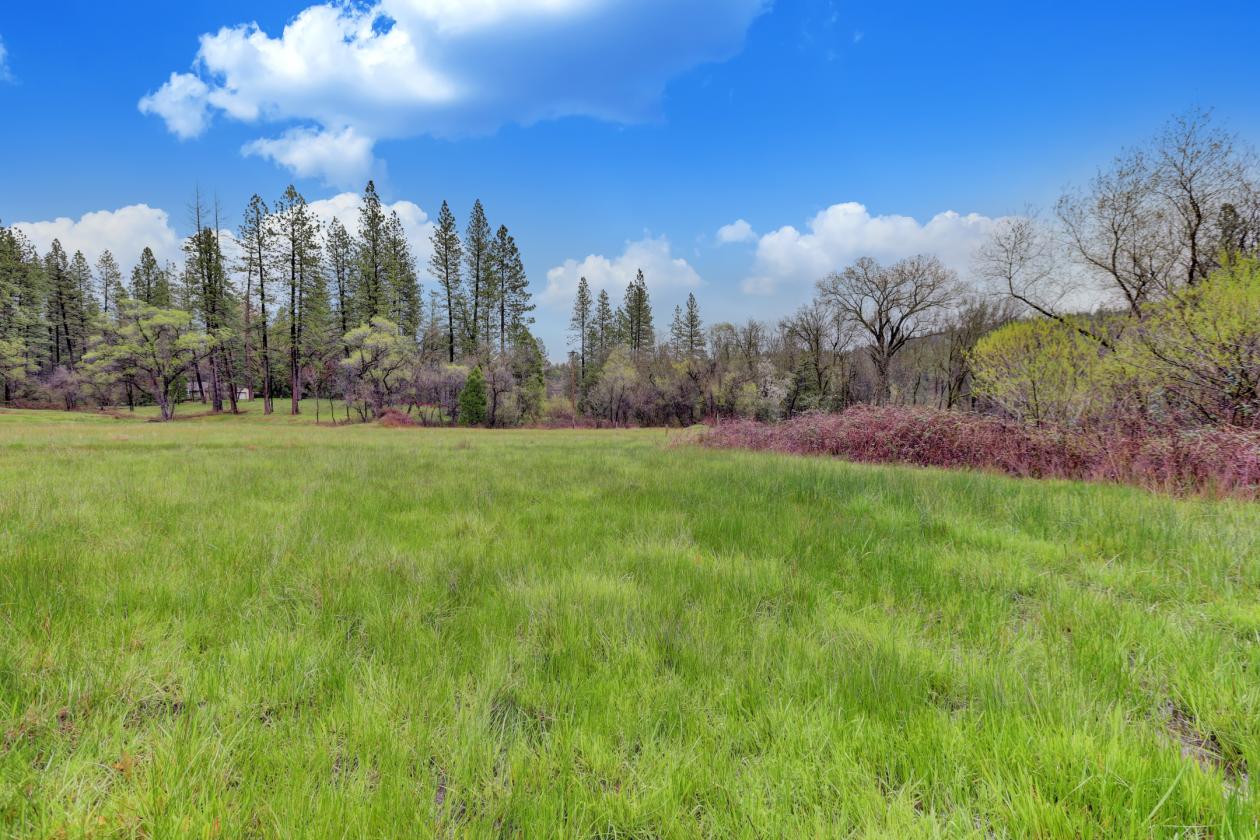 Country Living with Horse Potential - photo 17