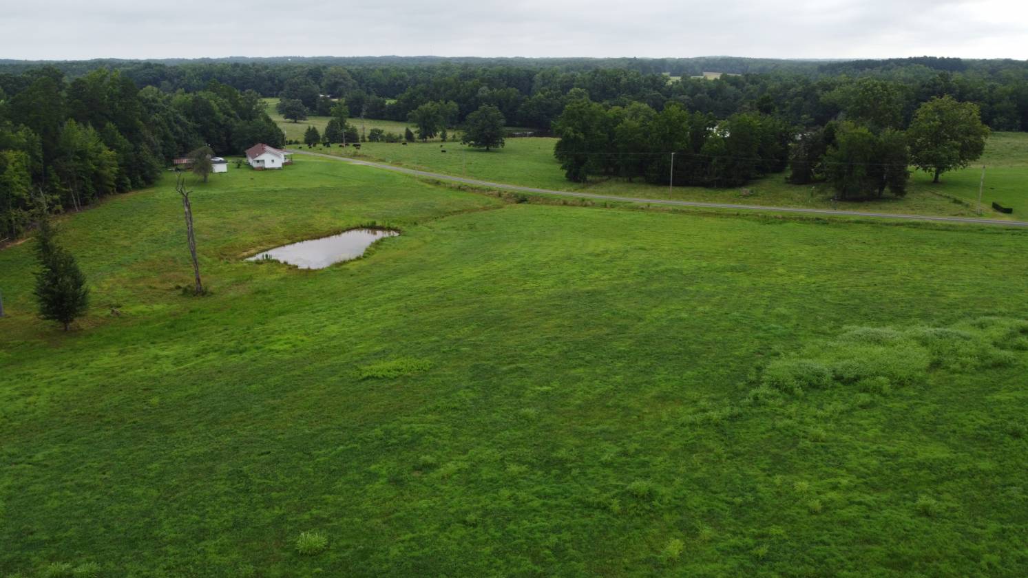 Beautiful field for your new home and horses too! - photo 5