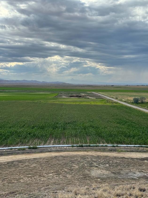 Discover 67± acres of Versatile Land - photo 2