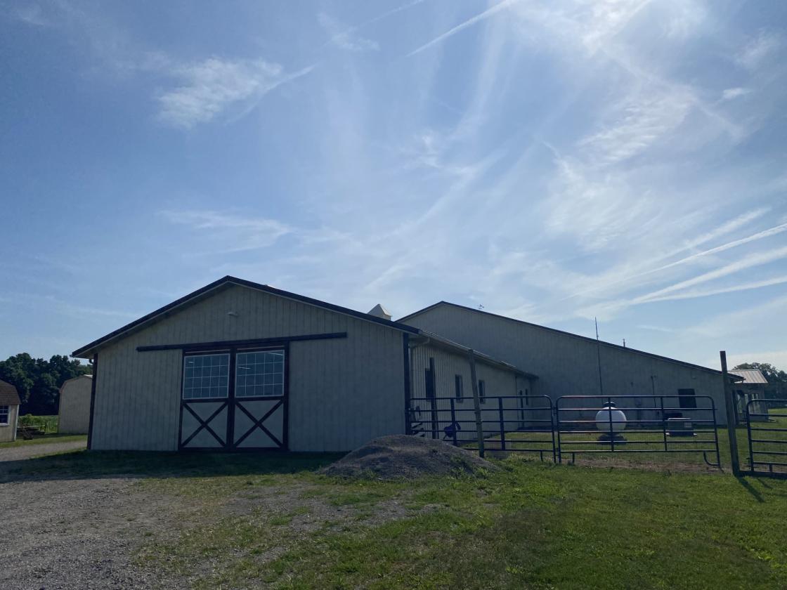 Equestrian Paradise on 29 Scenic Acres! - photo 6