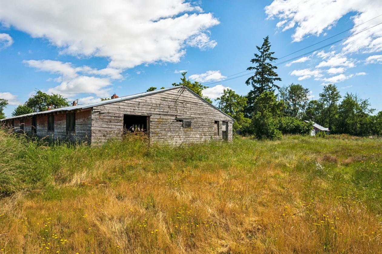 14.77 Acres with Mount Rainier Views - photo 13