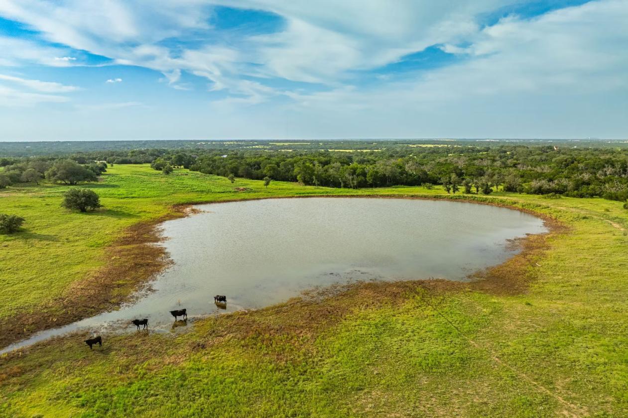 Hill Country Horse Ranch - photo 9