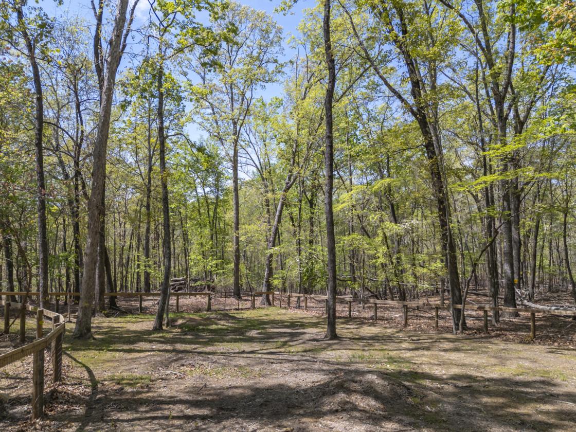 Mountain Views, Privacy, Trails, Updated Home - photo 13