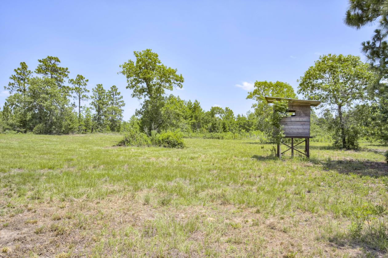 21.65 flat acres with large home and paddocks - photo 28