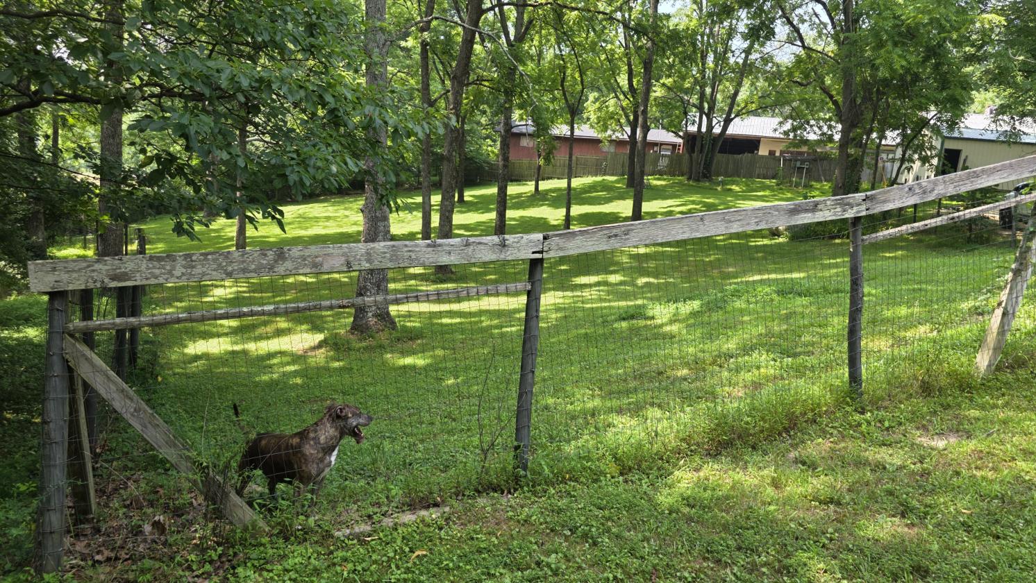Hobby Farm in Southern Indiana! - photo 9