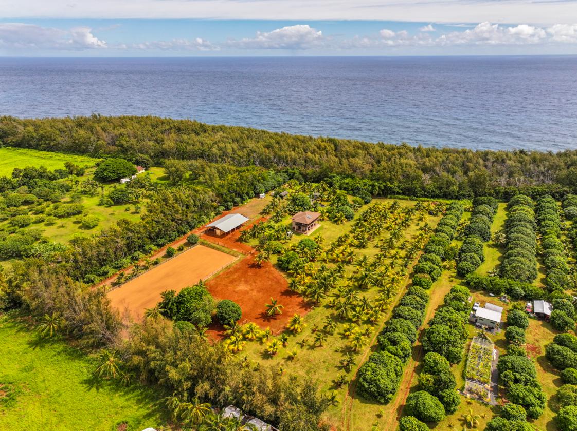 Agricultural & Equestrian Haven in Kauai - photo 22