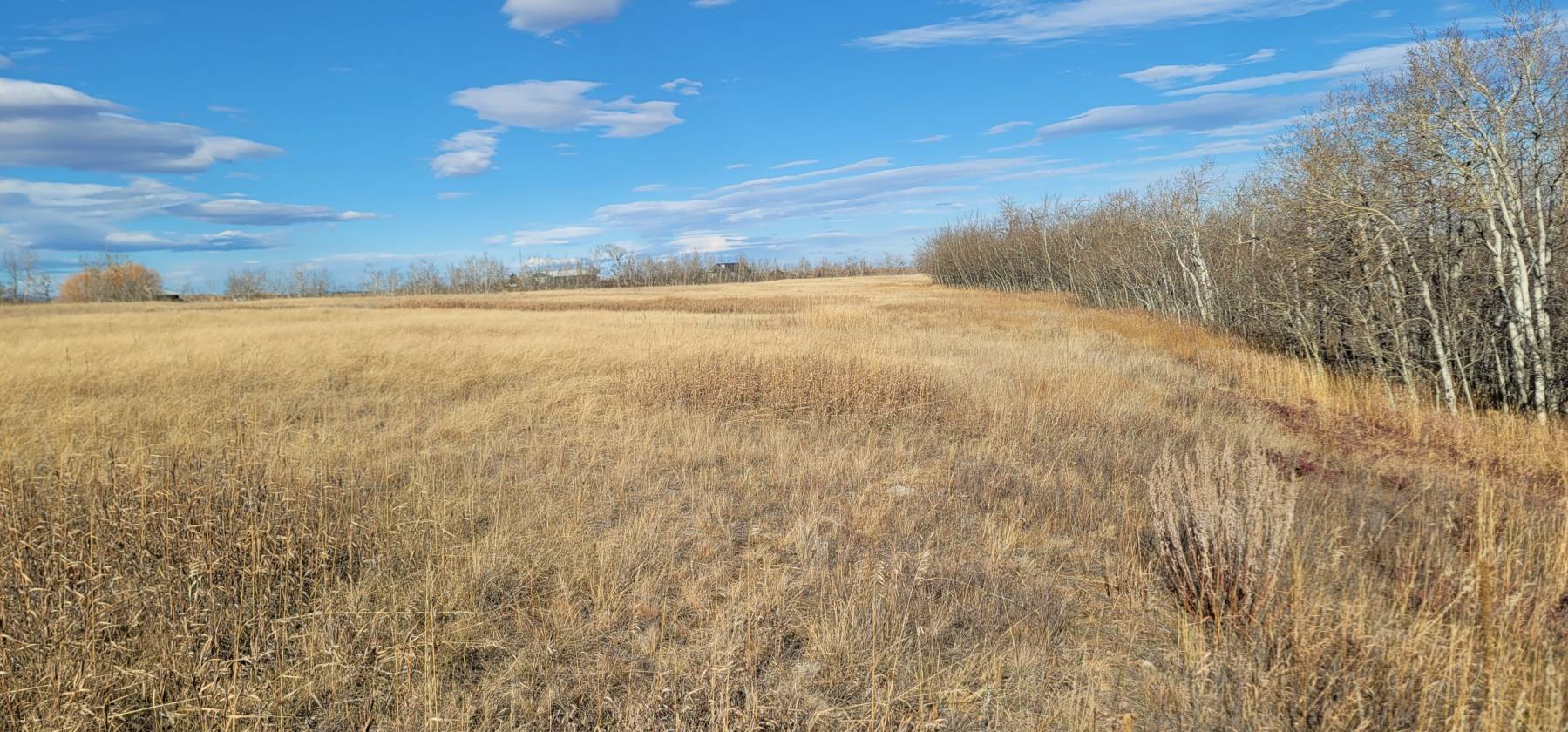 15.268 Acres! Creeks! Trails! Views! Meadows! - photo 7