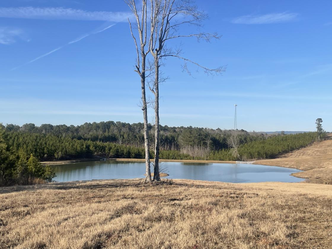 160 Acres in Shelby County w/ pastures and lake - photo 23