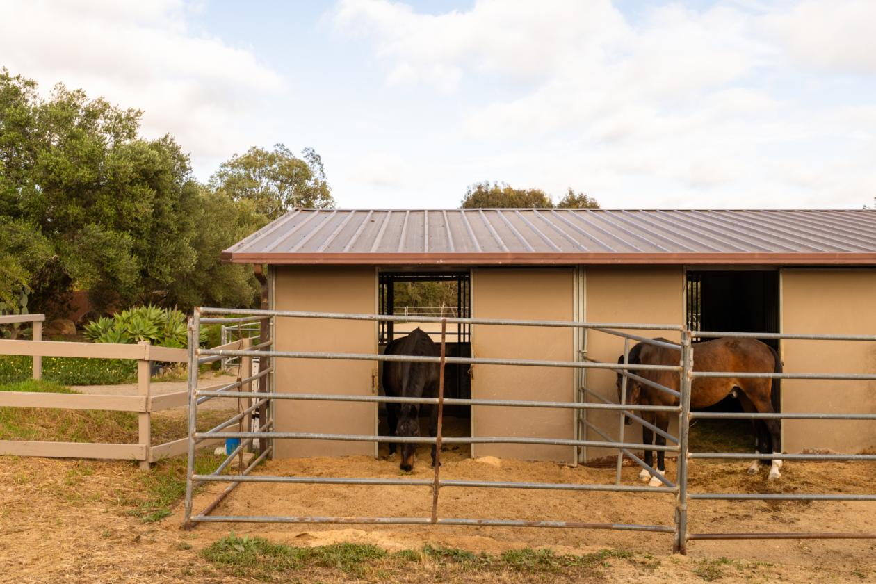 Rancho Santa Fe Lifestyle. County Freedom. No HOA. - photo 26