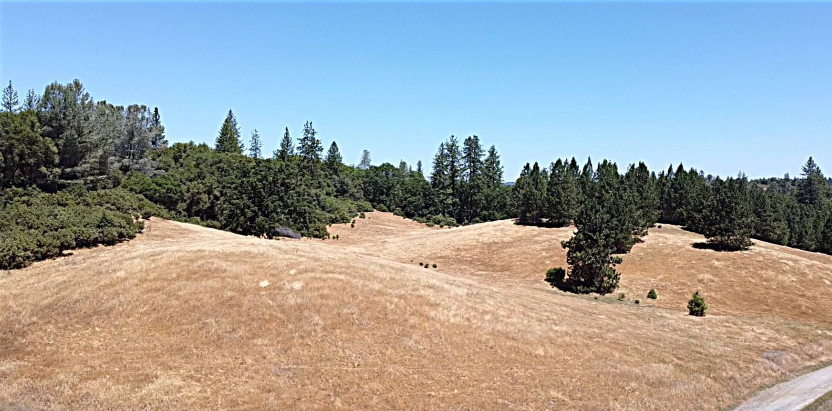 Beautiful Rolling 165 Acres, 100GPM Well too! - photo 16