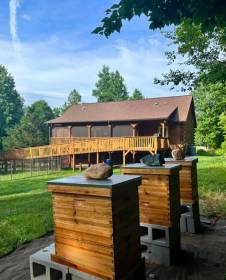 Property image.
