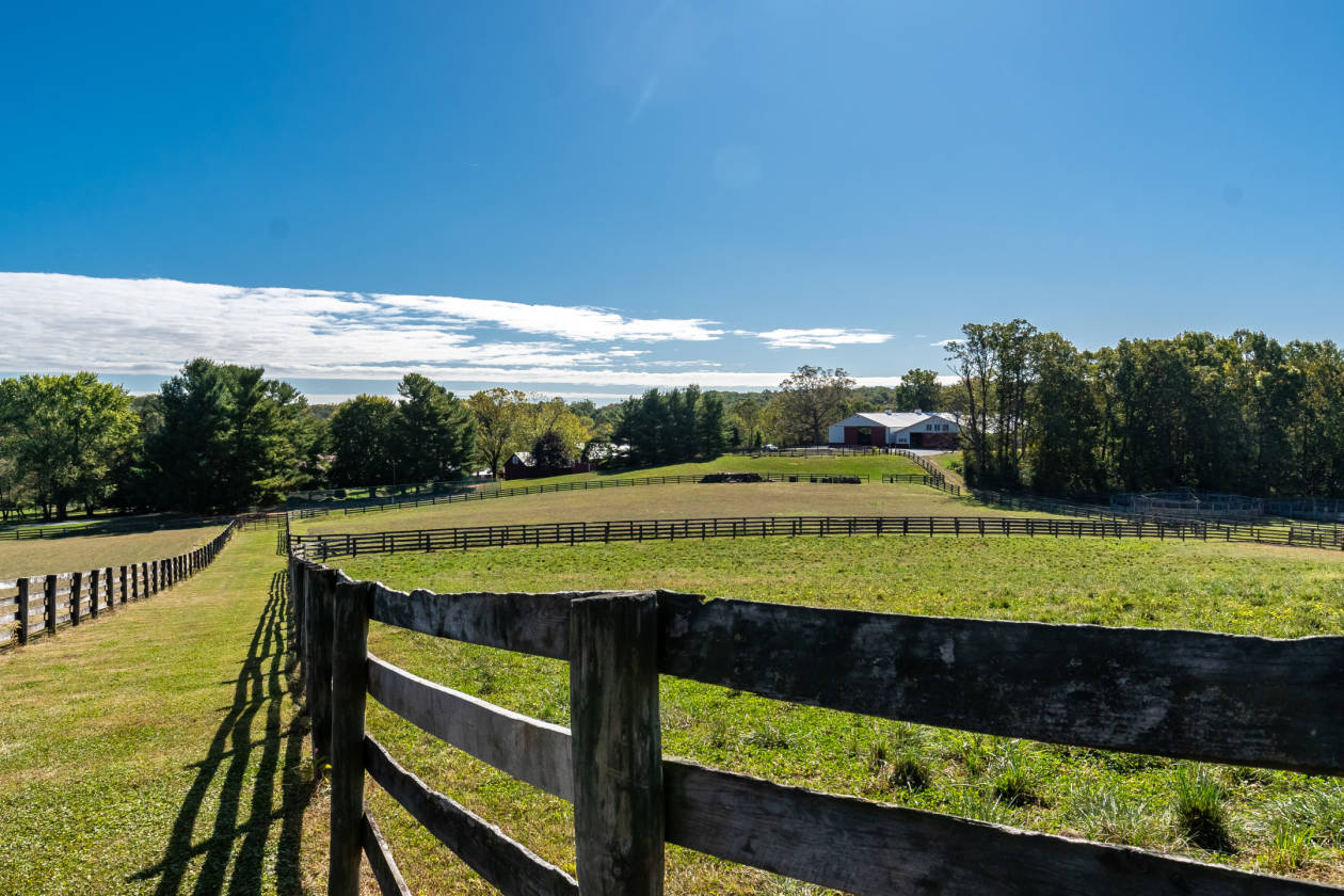 Equestrian Estate For Sale 