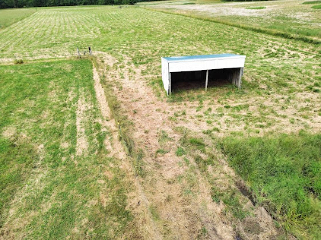 NEW PRICE for this Private 21 Acre Estate - photo 11