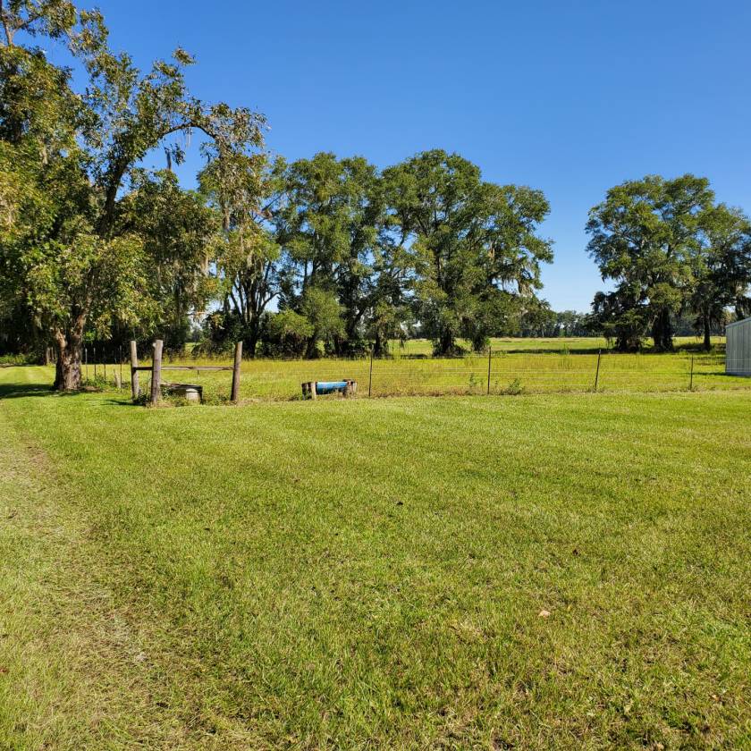 Horse Ranch for sale Lee, Madison County, Florida