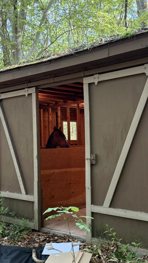 Estate home with small stable and pool - photo 3