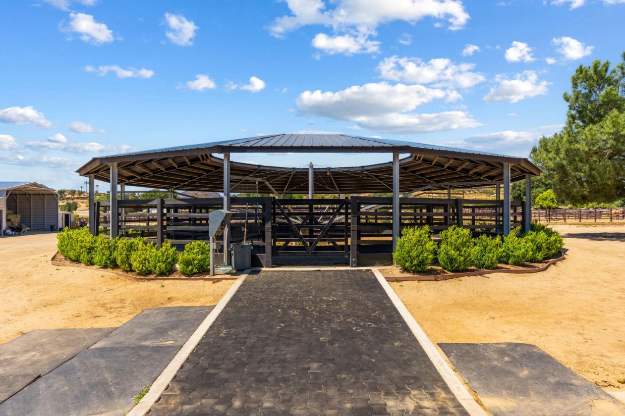 Proven Equestrian Excellence - photo 24