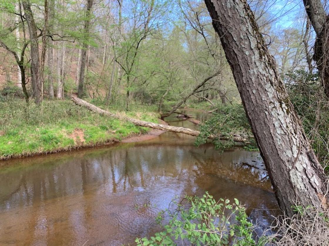 Madison County - Large Estate Farm - photo 28