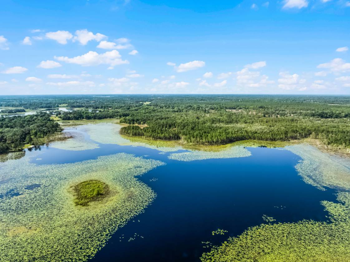 Private & Rare Wild Old Florida 36 Acre Gem - photo 14