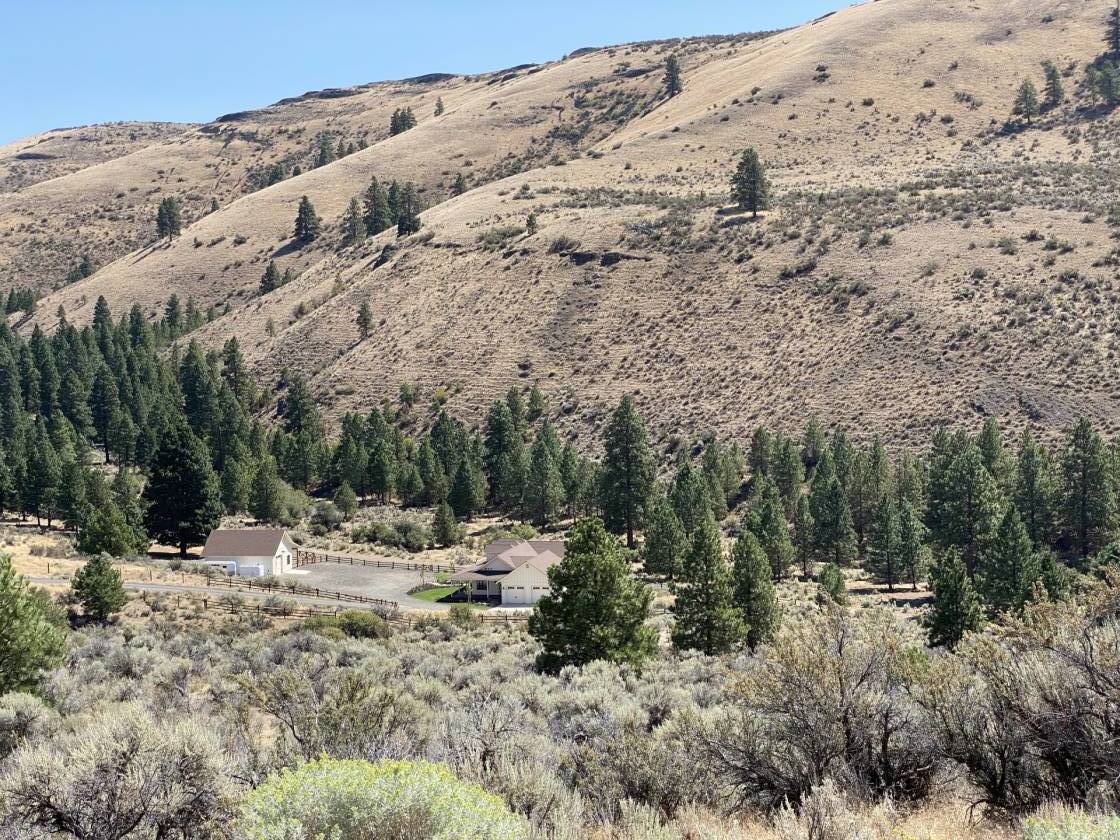 Home with Horse Amenities on 50 Acres! Ellensburg, Kittitas County